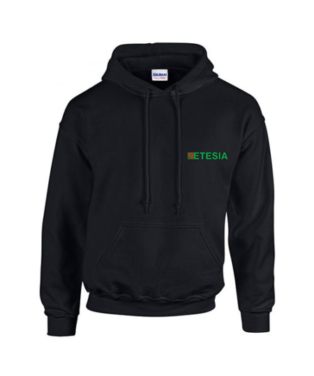 etesia-hoodie